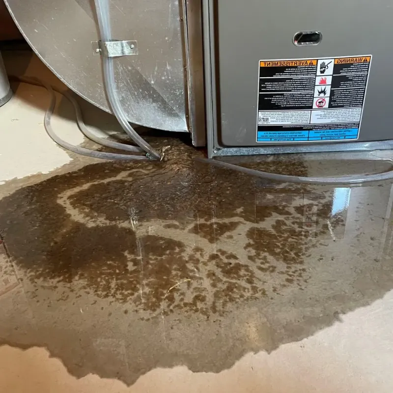 Pipe Burst and Leak Restoration in Brighton Park, IL