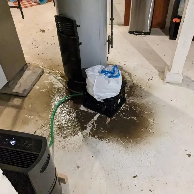 Sewage Backup Cleanup Service in Brighton Park, IL
